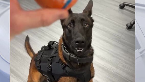 Spike, Burbank police dog shot, killed in standoff