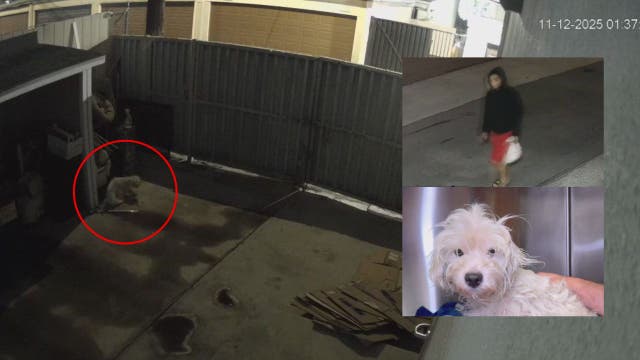 Woman throws dog over fence in plastic bag in Anaheim