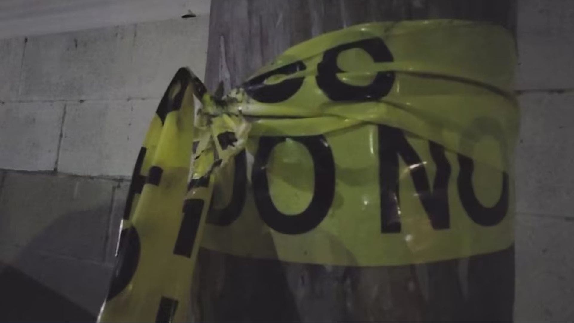 OC man accused of killing pregnant dog in deliberate act of cruelty