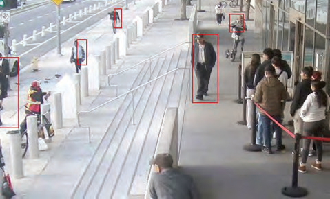 Man who allegedly hurled Molotov cocktails at Los Angeles Federal Building arrested: DHS