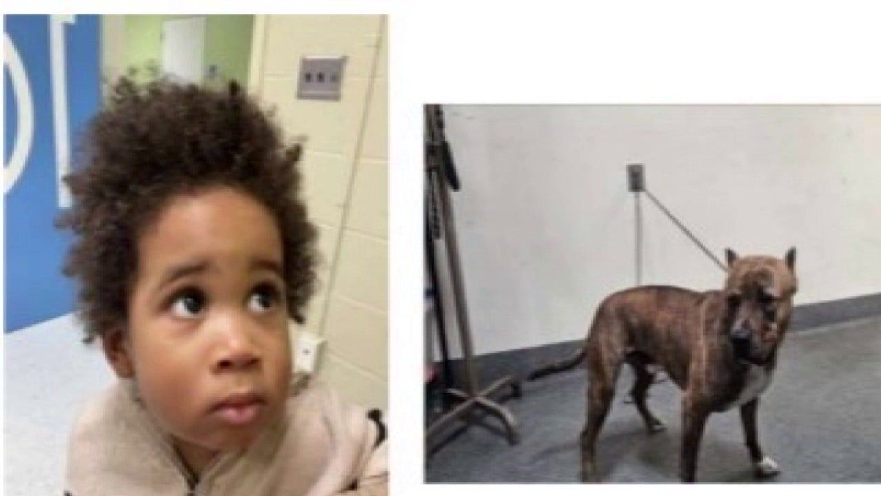 Toddler, dog found alone in car following attempted carjacking in Highland Park