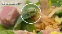 Insects found in USC dining hall food, student-run media reports