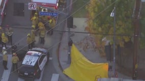 Tree trimmer falls to death in Canoga Park