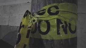 OC man accused of killing pregnant dog in deliberate act of cruelty