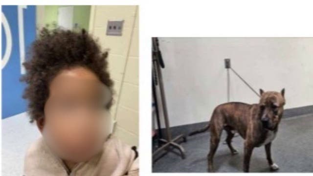 Mother of child abandoned in car with dog in Highland Park arrested