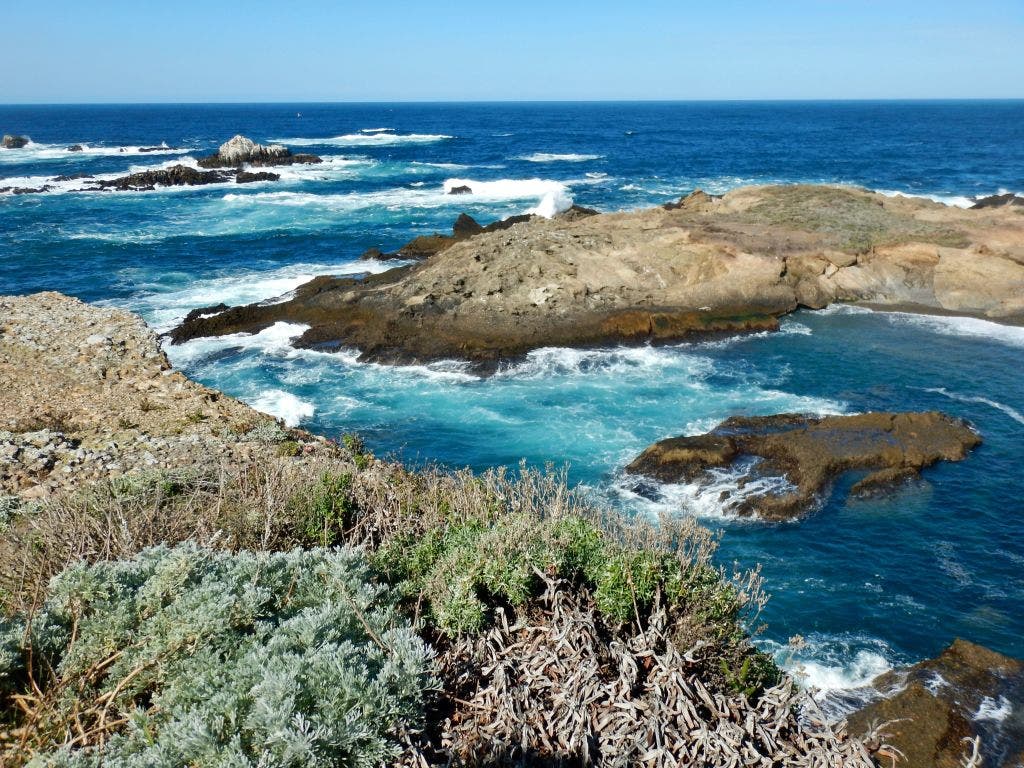 MLK Day 2026: Free entry announced for 200+ California State Parks