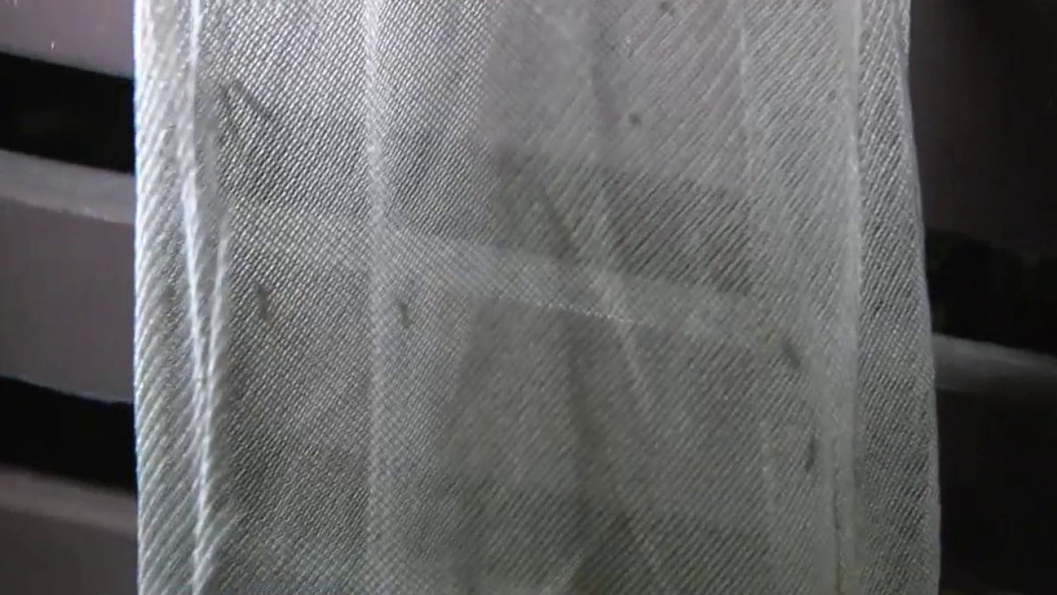 El Segundo residents say mosquito infestation has turned life into a nightmare