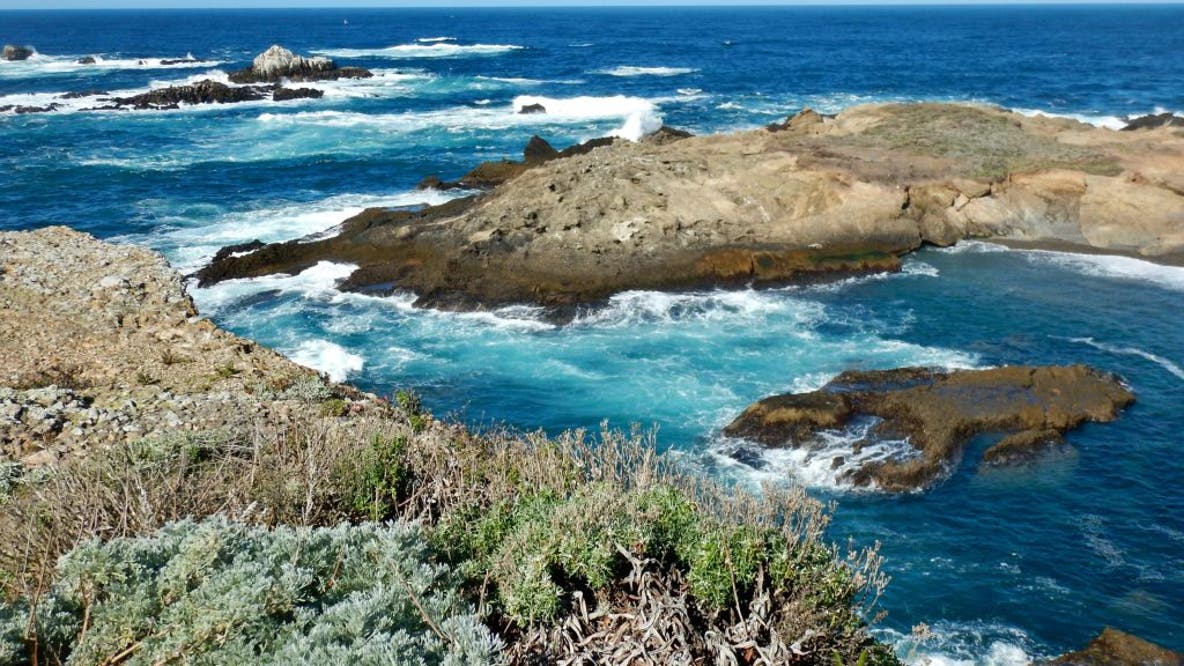 MLK Day 2026: Free entry announced for 200+ California State Parks