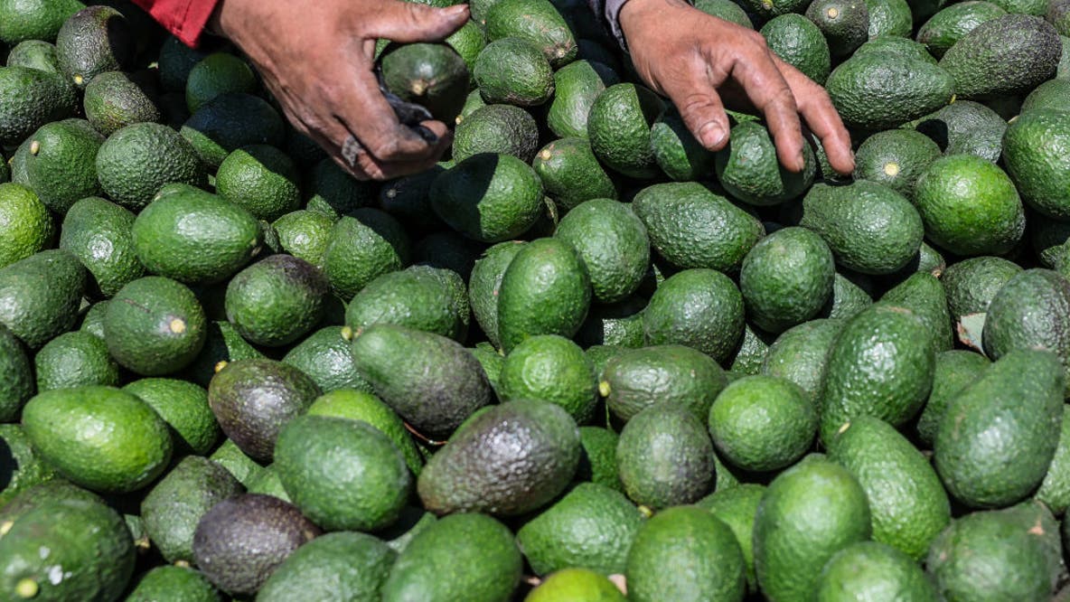 Ventura County's biggest avocado company is buying its top rival