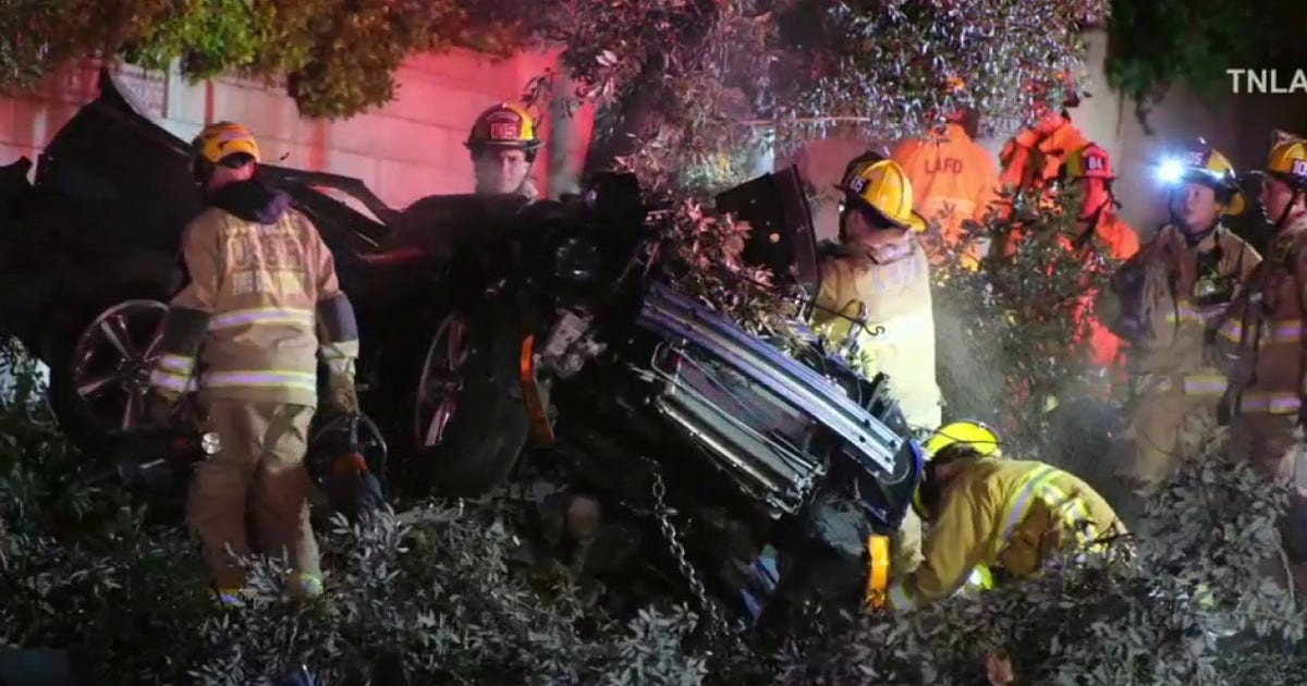 Passenger killed after alleged drunk driver slams into tree in Woodland ...