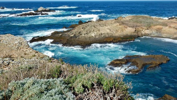 MLK Day 2026: Free entry announced for 200+ California State Parks