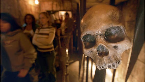 Disneyland fight: Brawl erupts at Indiana Jones ride over line-cutting