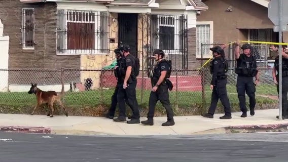 LAPD searching for getaway driver involved in pursuit crash in Hyde Park