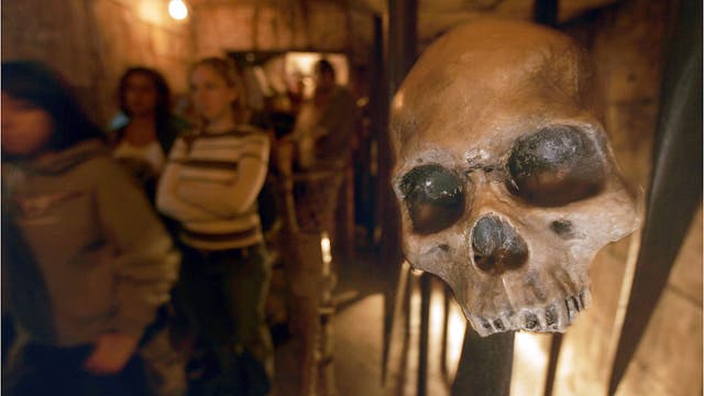 Disneyland fight: Brawl erupts at Indiana Jones ride over line-cutting