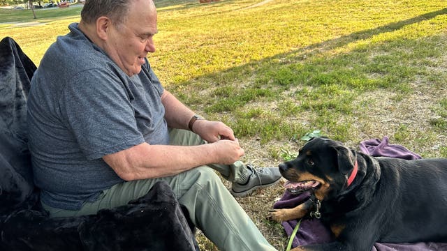 Holocaust survivor, dog killed in Sherman Oaks hit-and-run; Maserati driver sought