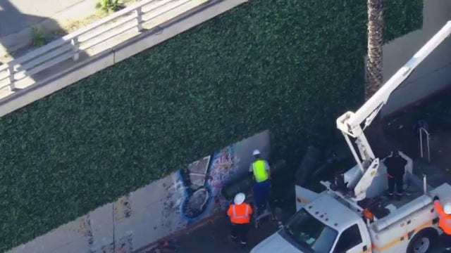 LA spending millions on fake ivy to cover up graffiti on 101 Freeway