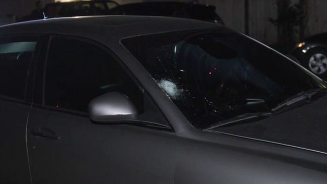 Maserati driver sought in fatal Sherman Oaks hit-and-run of elderly man, dog