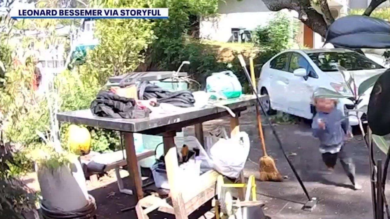 Coyote chases toddler in Southern California neighborhood