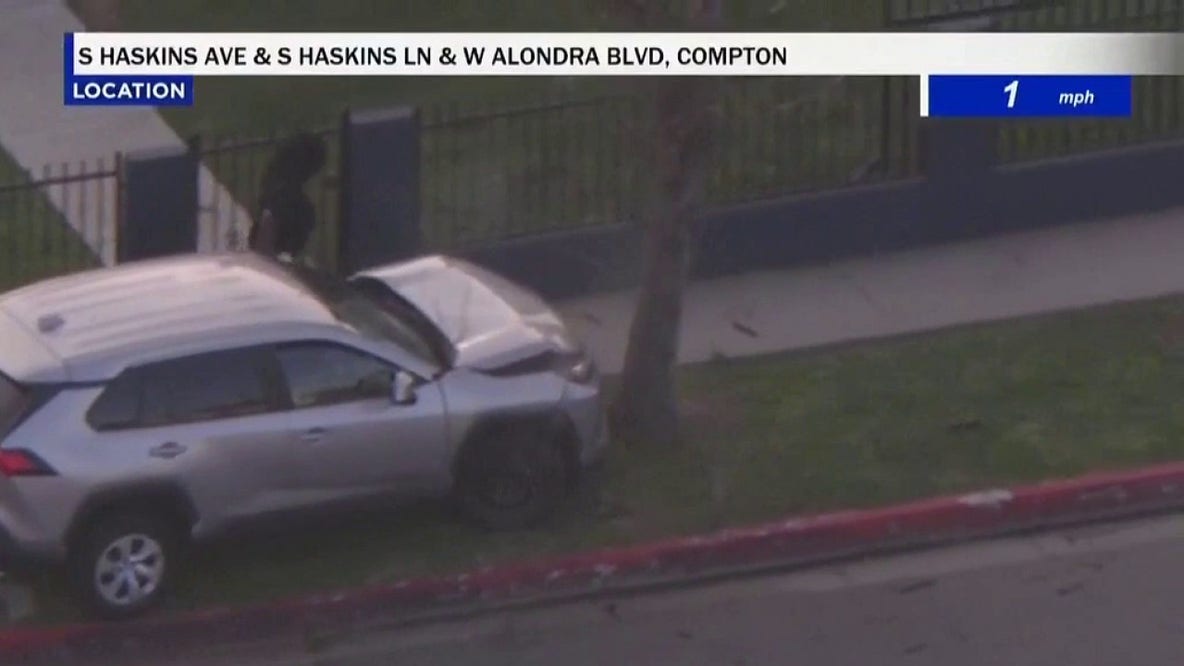 Pursuit suspect arrested after crashing into tree in Compton