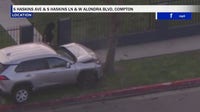 Pursuit suspect arrested after crashing into tree in Compton