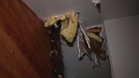 Large tree topples onto Running Springs home