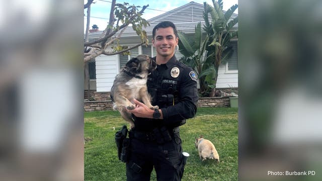 Burbank's finest: Police officer goes viral over puppy photo
