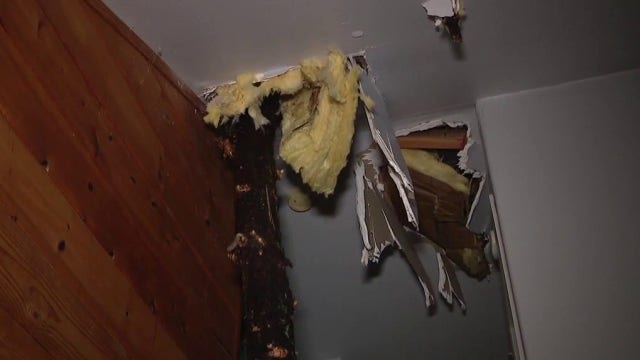 Large tree topples onto Running Springs home