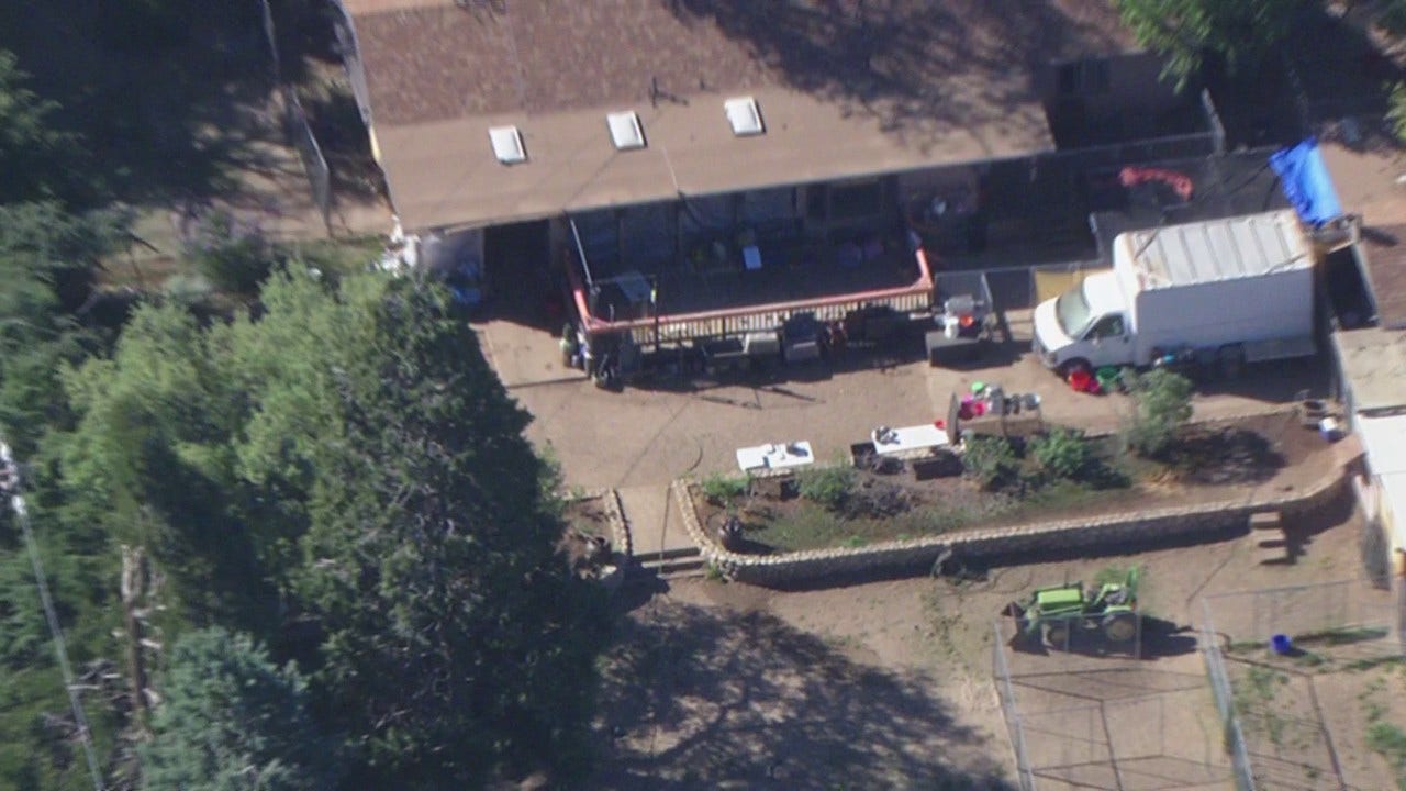 California massive animal rescue operation: Over 400 dogs, 300 cats rescued in Lake Hughes