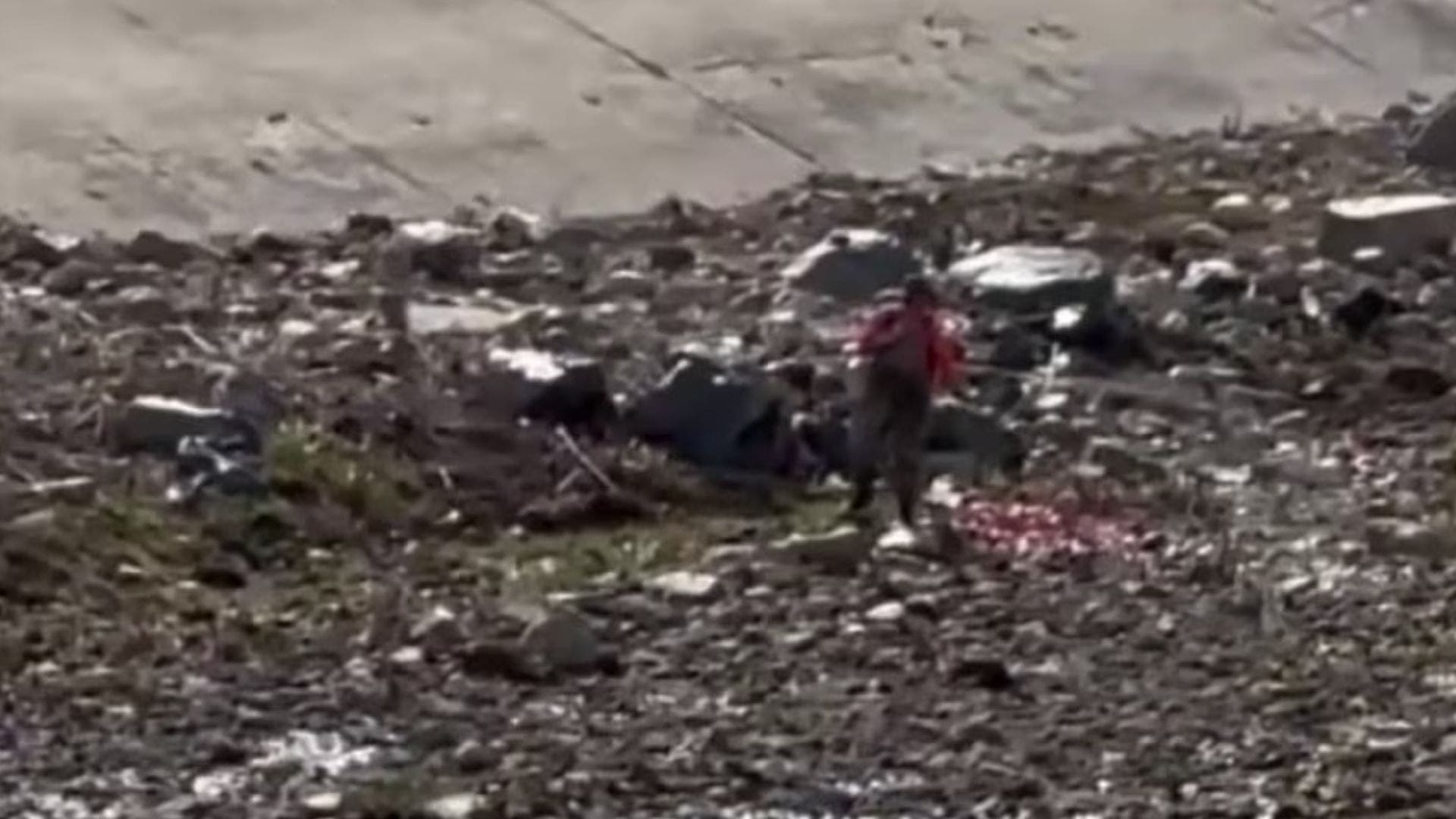 Herbicide use in Orange County waterways raising safety, ecological concerns