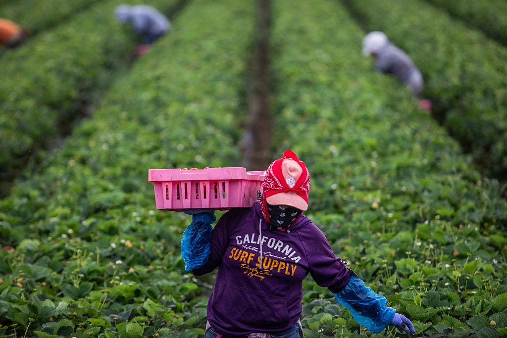 California marks first Farmworkers Day