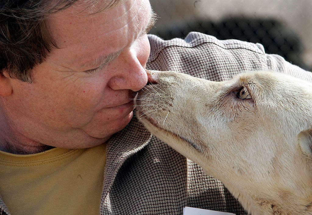 Founder of SoCal animal rescue accused of attempting to kidnap former employee