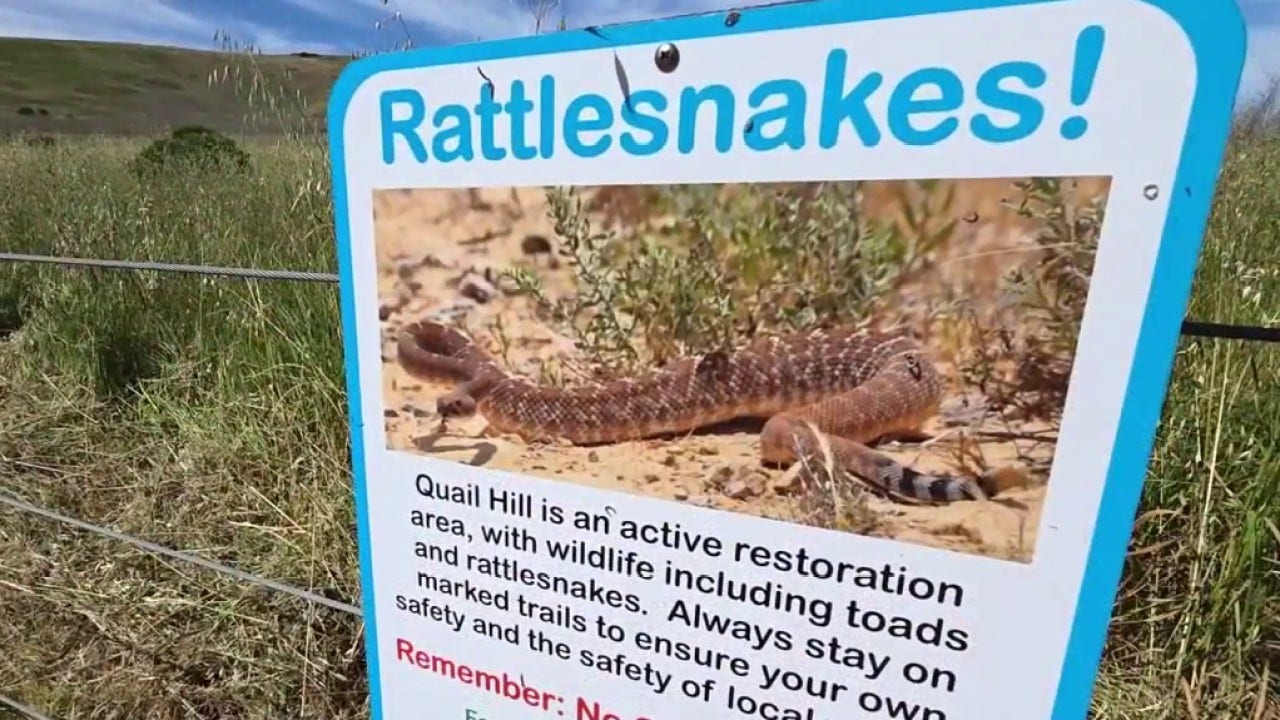 Officials warn of increased snake sightings amid Southern California heat wave