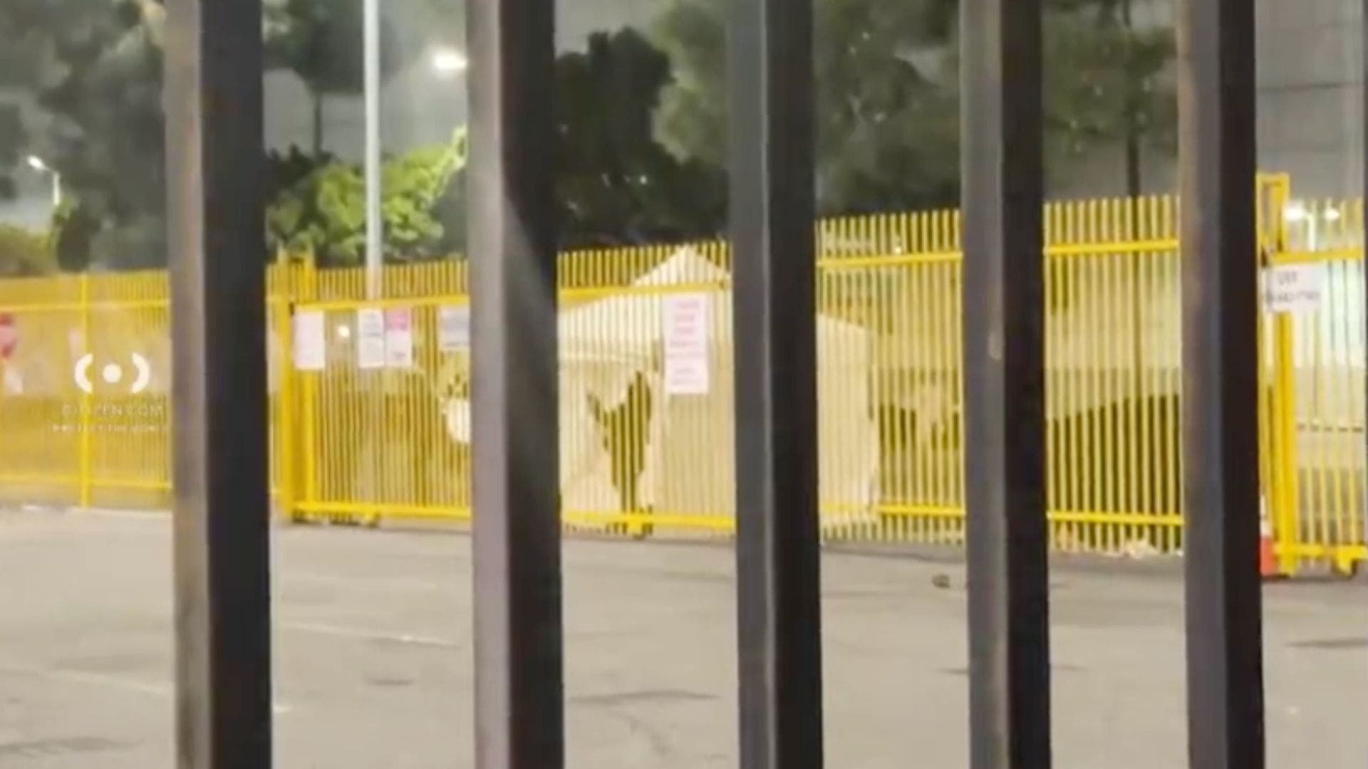 Man dies after cutting off own genitalia in downtown LA