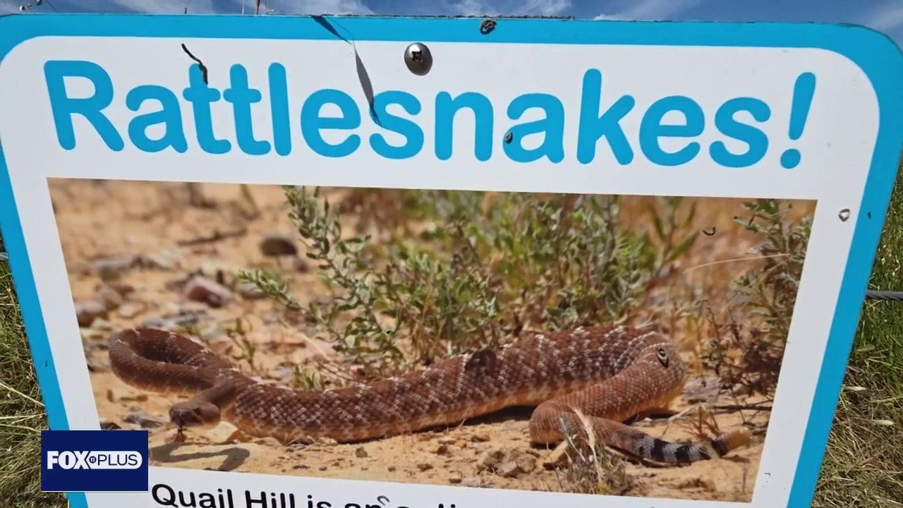Rattlesnake encounters increase as warmer weather brings more snakes to surface