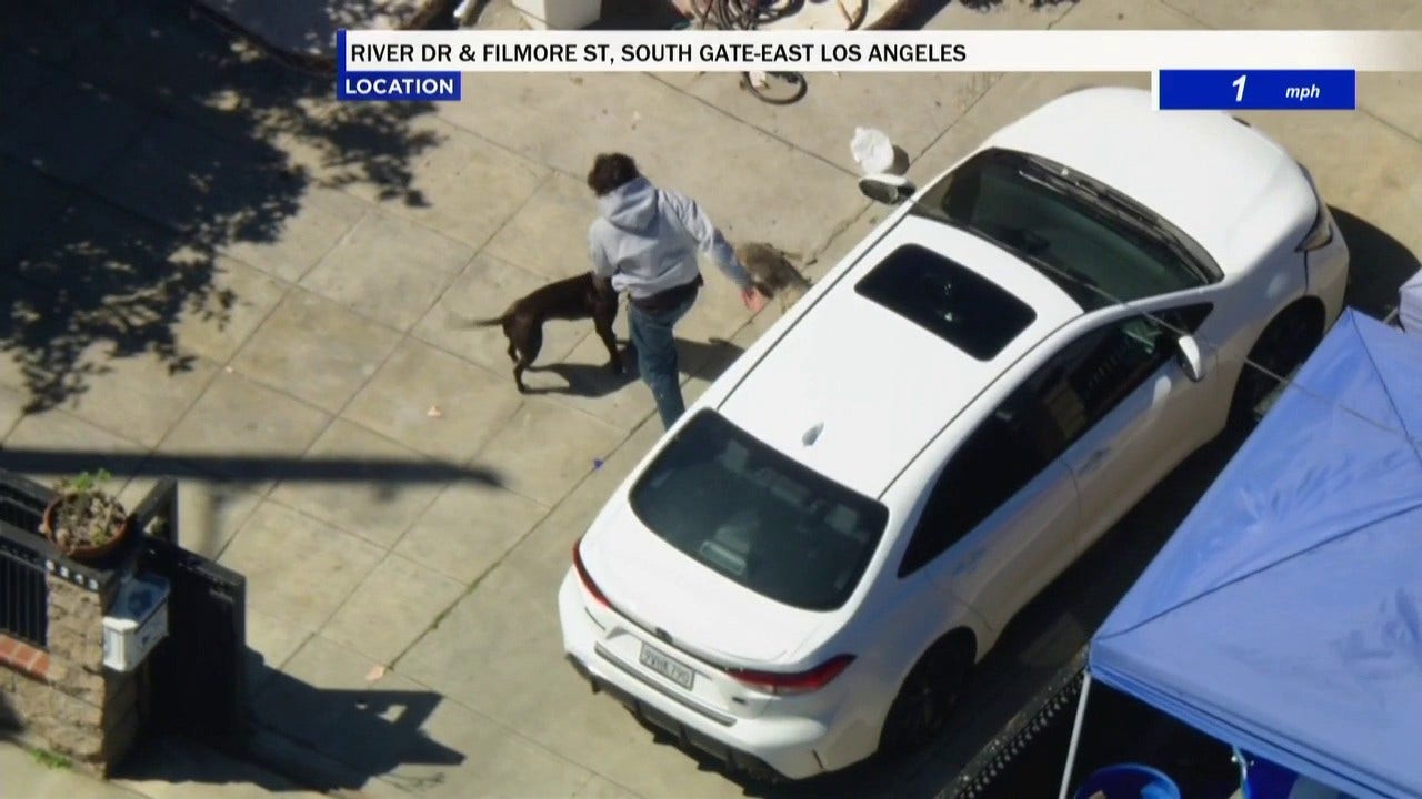 Pursuit suspect flees into Bell home after high-speed chase