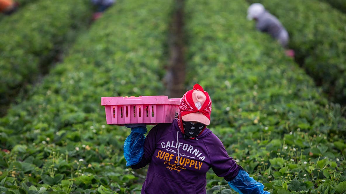 California marks first Farmworkers Day