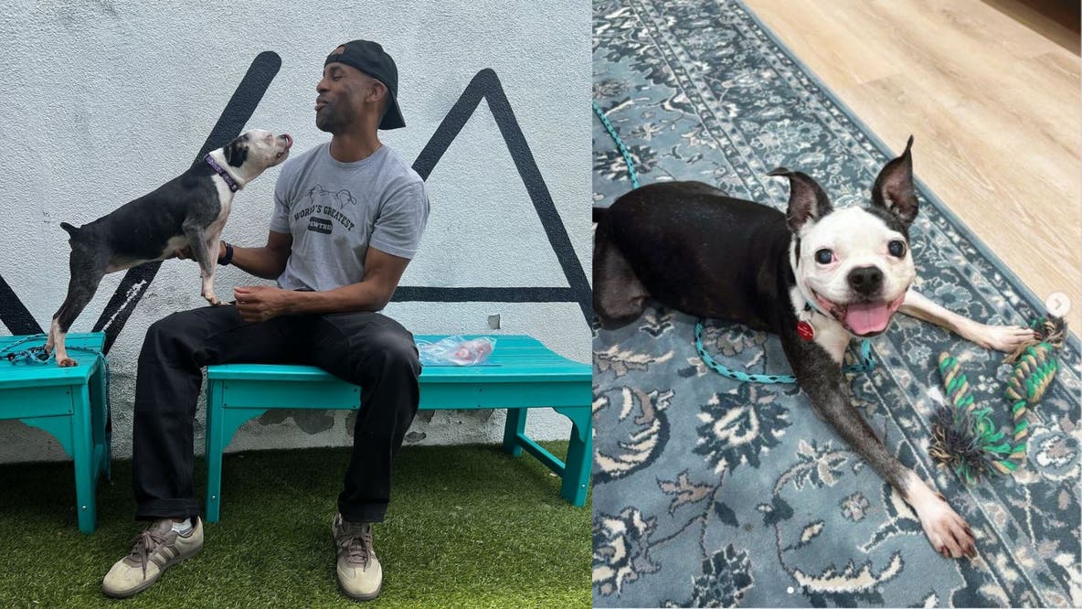 Stolen dog reunited with owner in LA after more than 3 years apart