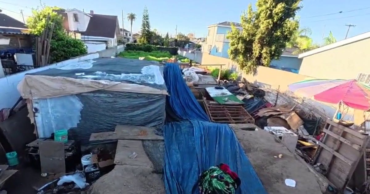 Woman's dog-bitten body found in South LA homeless encampment | FOX 11 ...