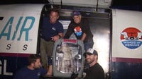 Over 100 LA shelter dogs flown to Chicago for adoption to escape euthanasia