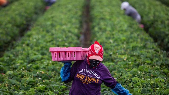 California marks first Farmworkers Day