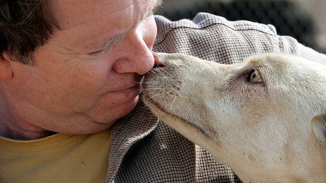 Founder of SoCal animal rescue accused of attempting to kidnap former employee