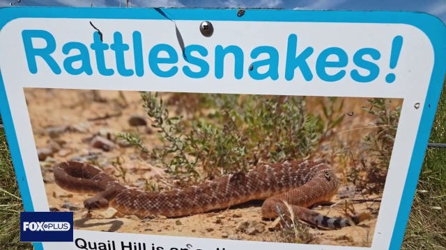Rattlesnake encounters increase as warmer weather brings more snakes to surface