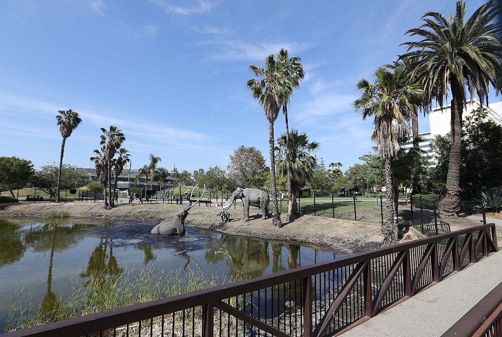 La Brea Tar Pits to close for two-year renovation ahead of 2028 Olympics