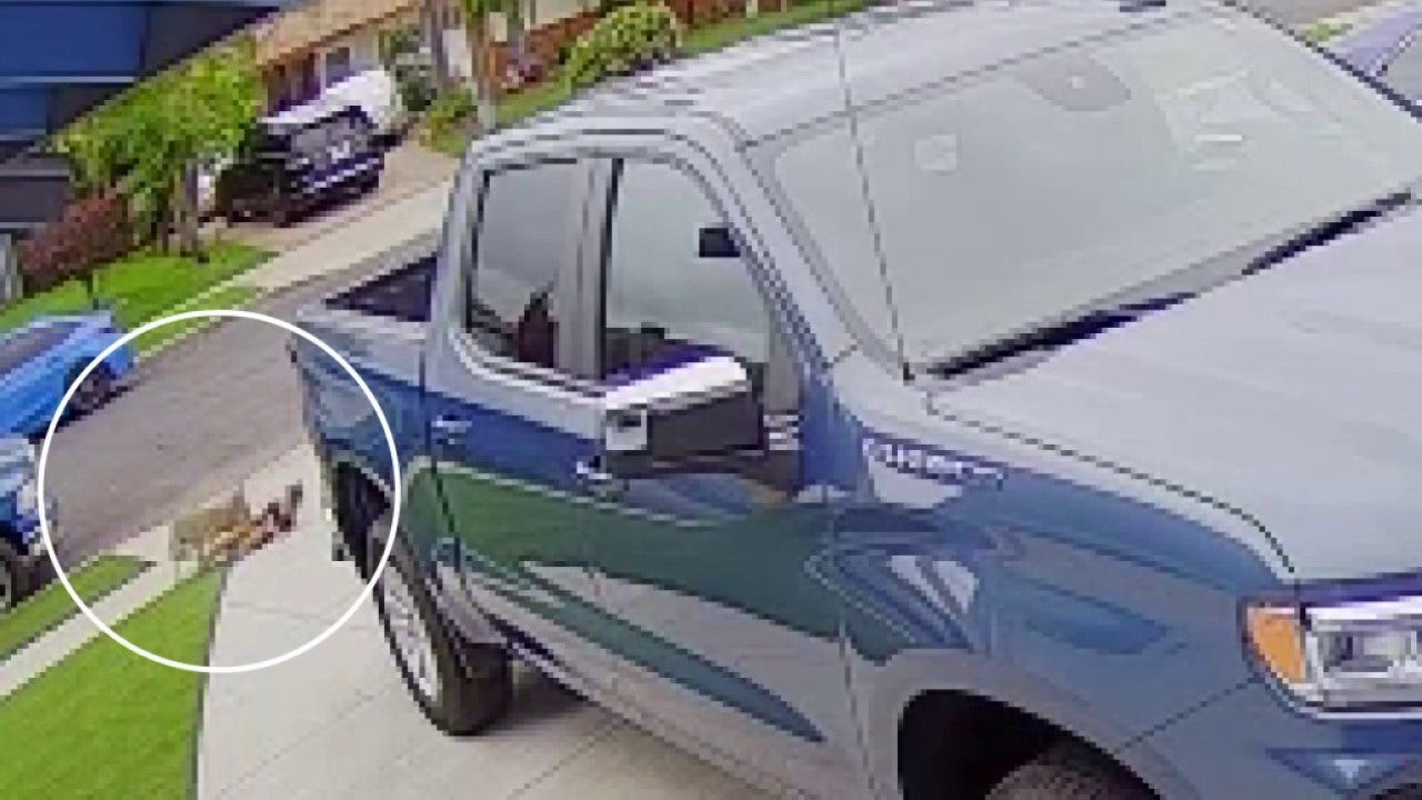 Coyote that attacked toddler in Carson caught, euthanized