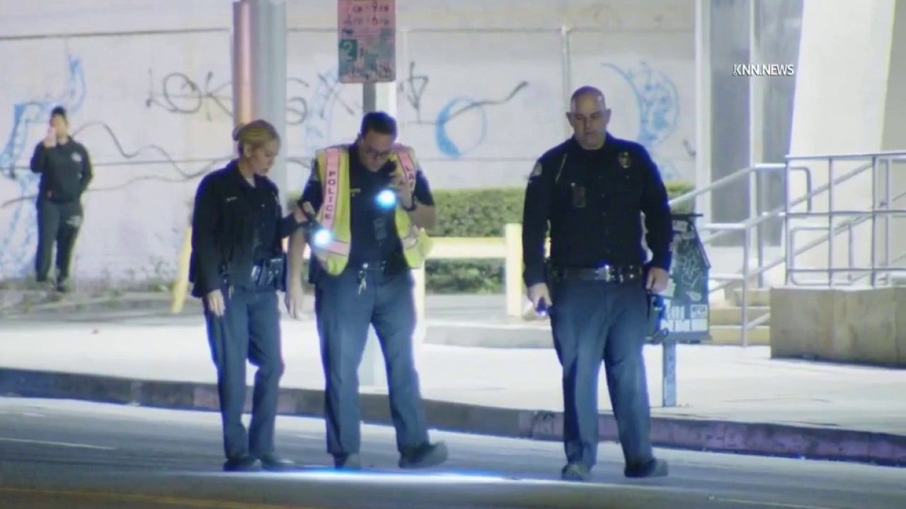 Hit-and-run driver kills woman in crosswalk with cane, witnesses say