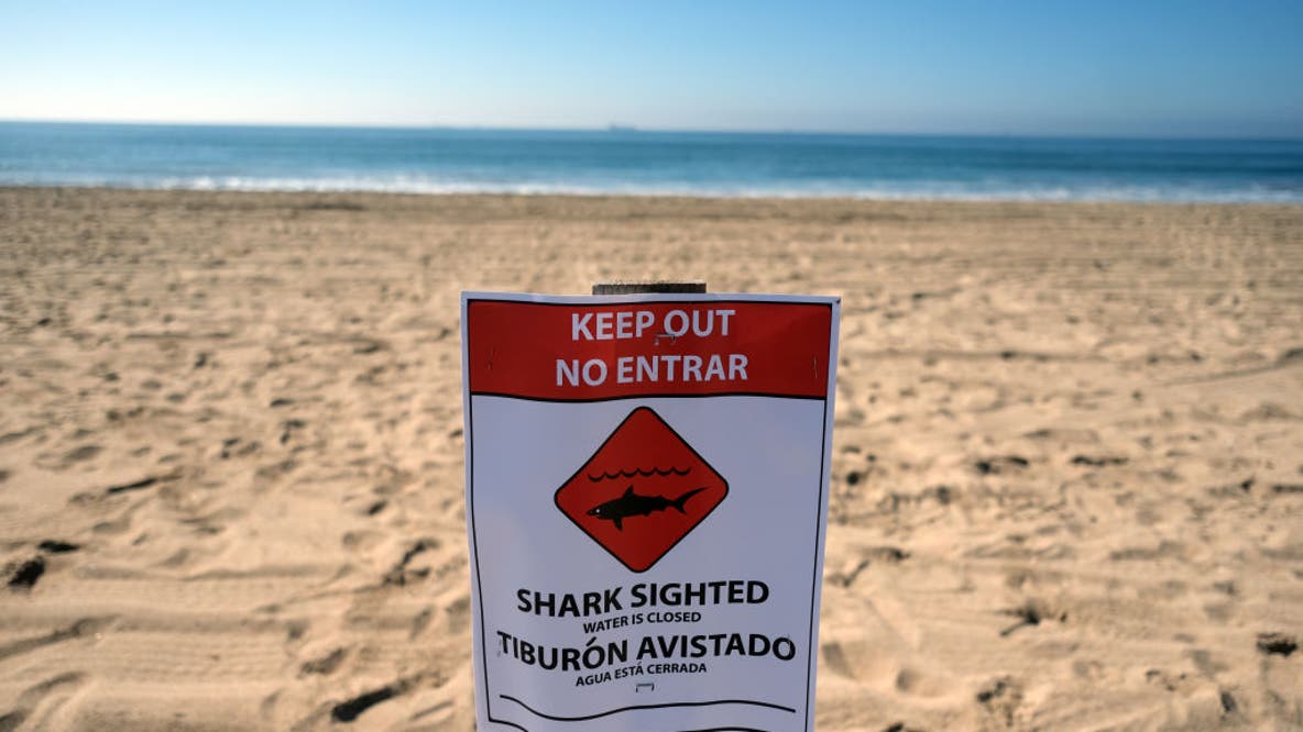 Huntington Beach shoreline closed following 'aggressive' great white shark activity