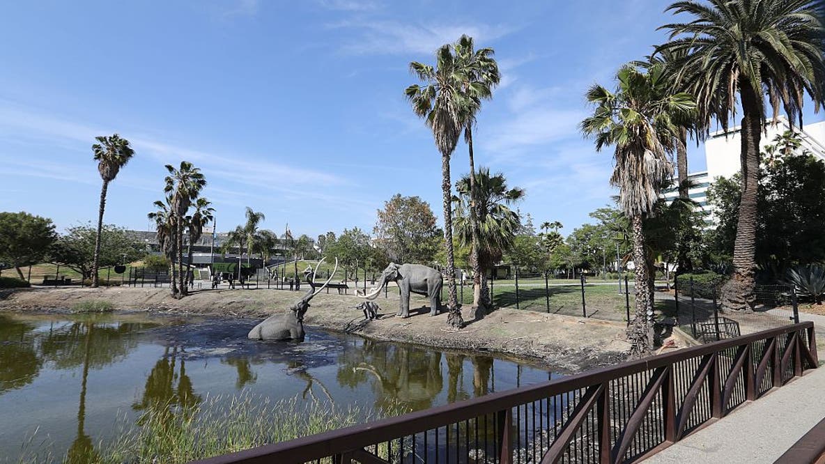 La Brea Tar Pits to close for two-year renovation ahead of 2028 Olympics