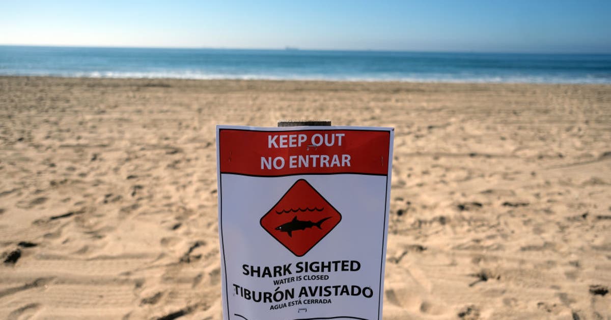 Huntington Beach shoreline closed following 'aggressive' great white shark activity