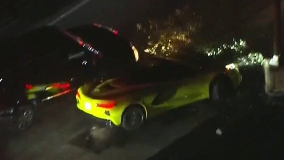 Corvette fakes pumping gas mid-police chase, crashes into tree near Torrance