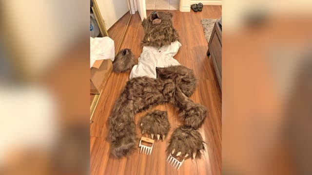 'Operation Bear Claw: California trio sentenced in $142K bear suit insurance fraud